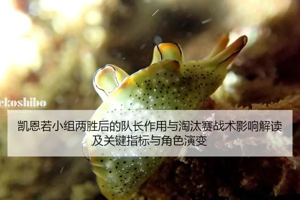 凯恩若小组两胜后的队长作用与淘汰赛战术影响解读及关键指标与角色演变